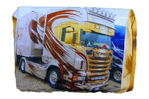 Автоподголовник Scania